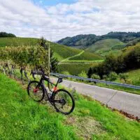 Gravel dans les vignes en Forêt Noire