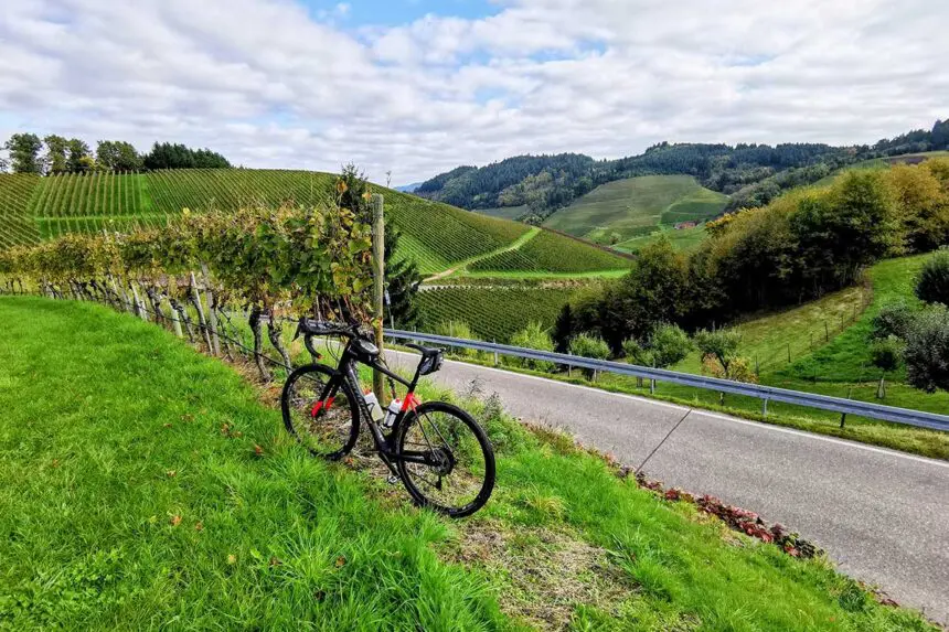 Gravel dans les vignes en Forêt Noire