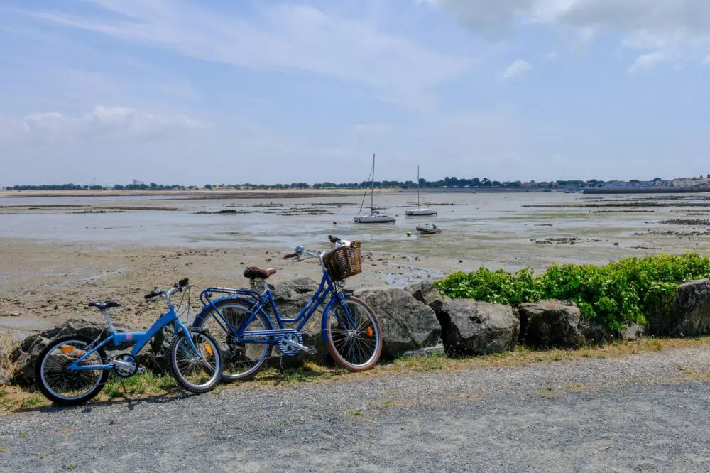 location de vélos sur l'île de Ré